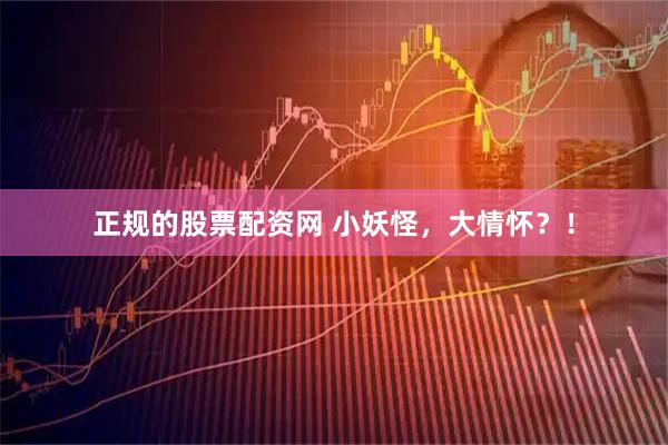 正规的股票配资网 小妖怪，大情怀？！